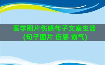 医学图片伤感句子文案生活(句子图片 伤感 霸气)